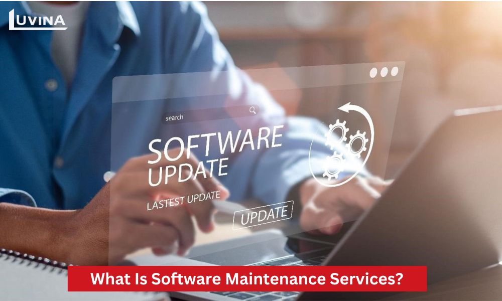 Software Upgrade and Maintenance